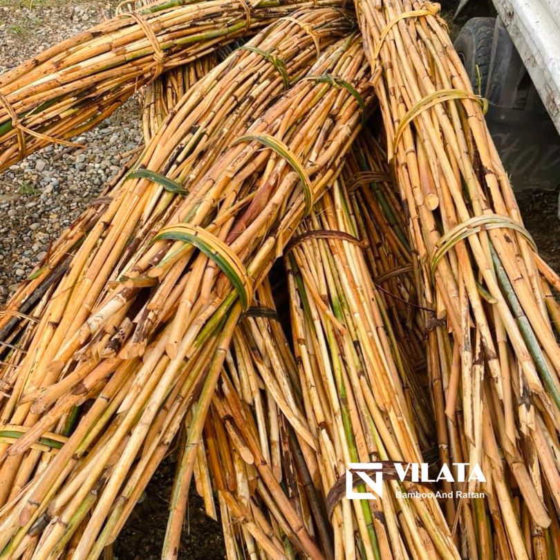 natural-rattan-cane-vilata.1